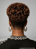 Full lace pixie cut wig brown afro