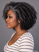 salt and pepper 13x4 lace front bob curly wig