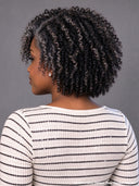 salt and pepper 13x4 lace front bob curly wig
